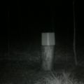 Loading...