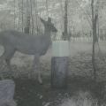 Loading...