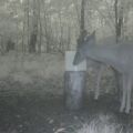 Loading...