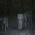 Loading...