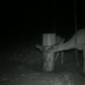 Loading...