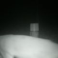 Loading...